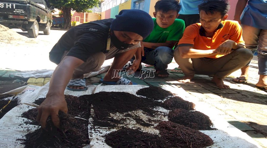 Rutan Batang Mulai Budidaya Cacing Tanah