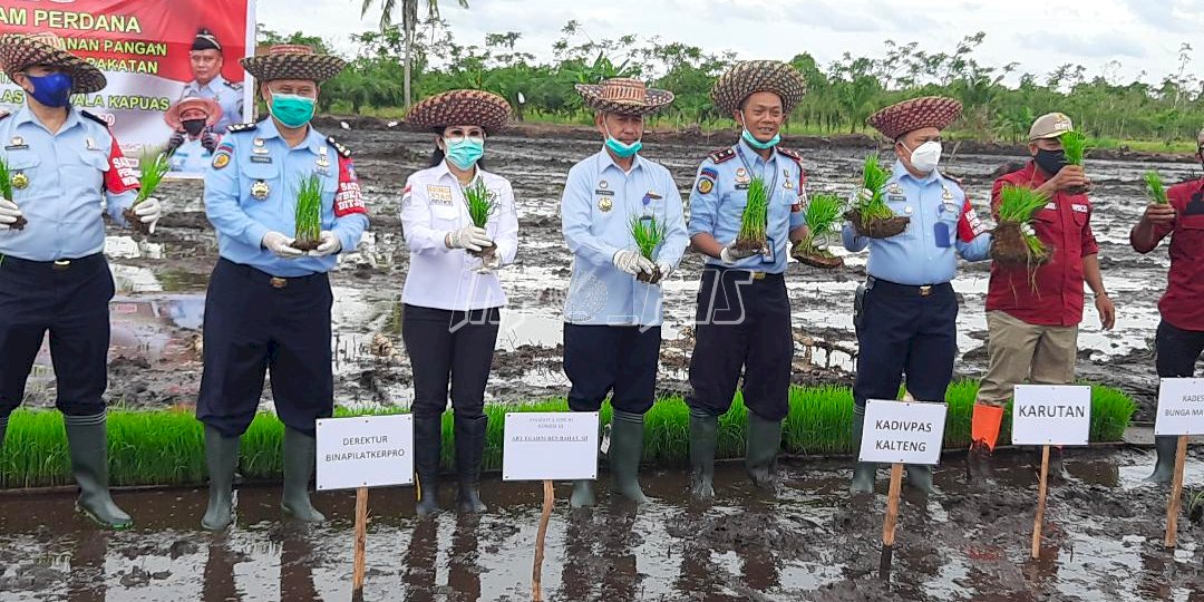 Canangkan Ketahanan Pangan, Rutan Kuala Kapuas Siap Pasok Kebutuhan Beras UPT se-Kalimantan