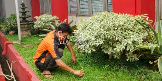 Wujudkan “Sustik Bersemi”, LPN Jakarta Lakukan Perawatan Taman