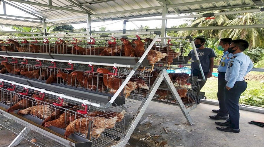 SAE Lapas Rangkasbitung Panen Telur