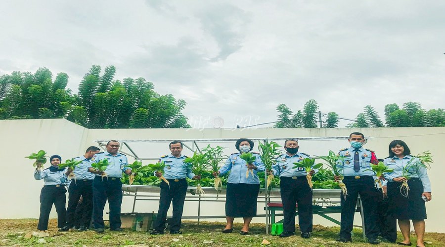  LPKA Ambon Panen Perdana Sayuran Hidroponik