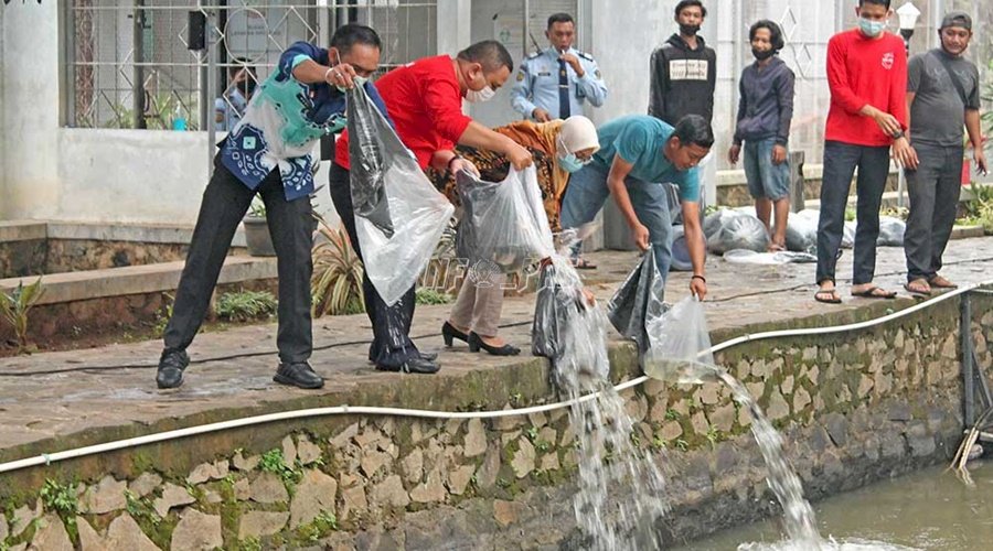 Kepala LPKA Jakarta Tebar Benih Ikan Gurame