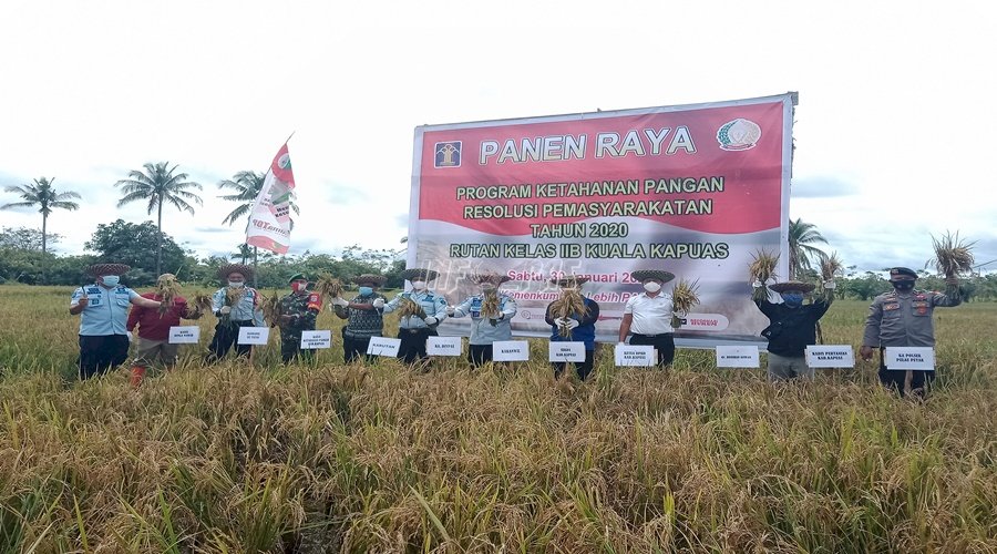 Rutan Kuala Kapuas Panen Raya Padi IR 64