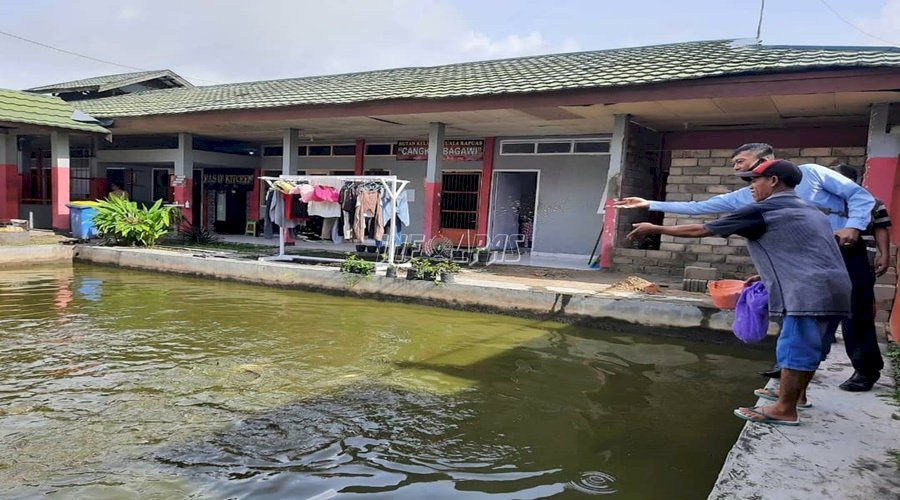 Budidaya Ikan Patin di Rutan Kuala Kapuas Siap Panen