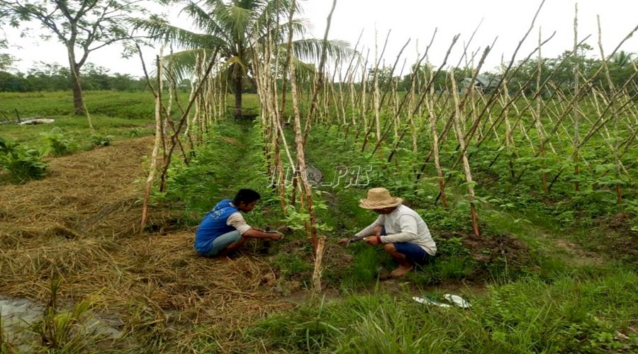 Rutan Kuala Kapuas Terus Awasi Open Camp Bunga Mawar