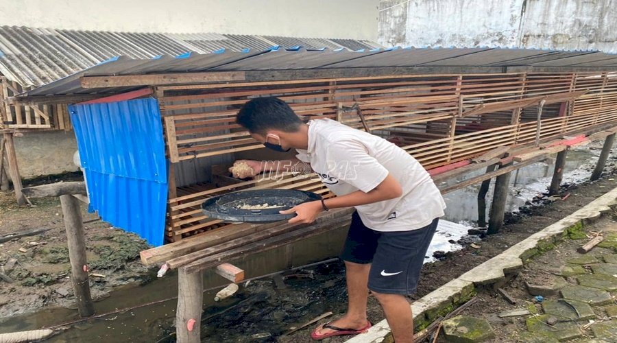 Rutan Kuala Kapuas Kembangkan Peternakan Ayam Bangkok