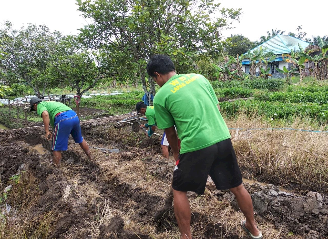 Lapas Sampit Terus Kembangkan Prison Food Estate