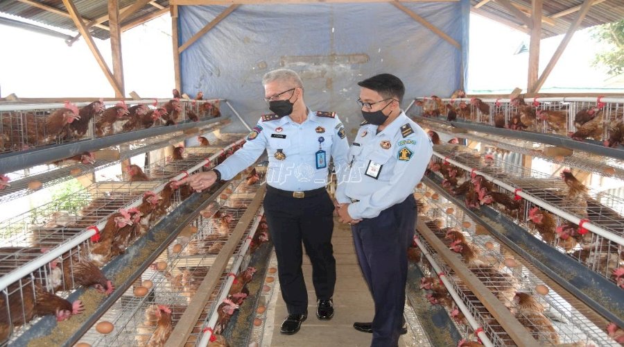 Lapas Curup Panen Perdana Telur Ayam Ras