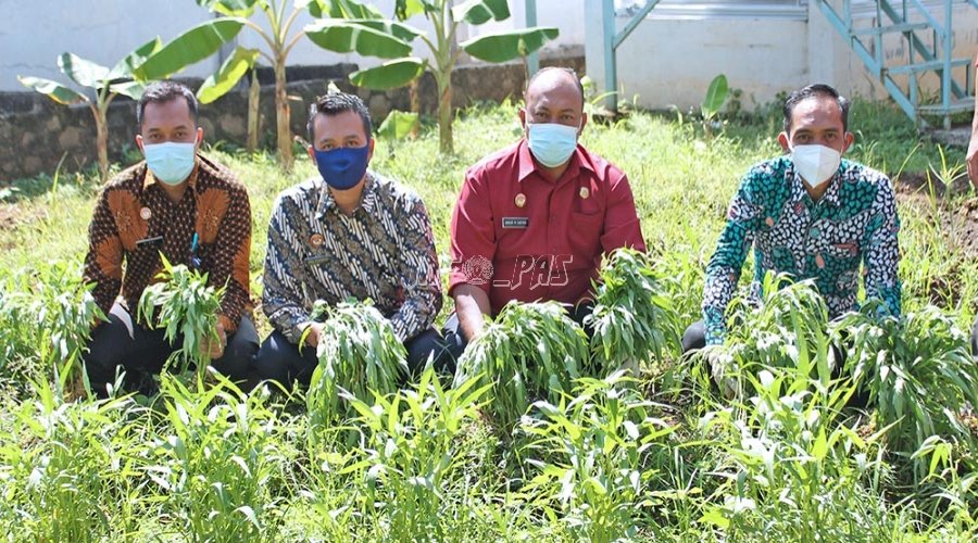 LPKA Jakarta Panen Kangkung