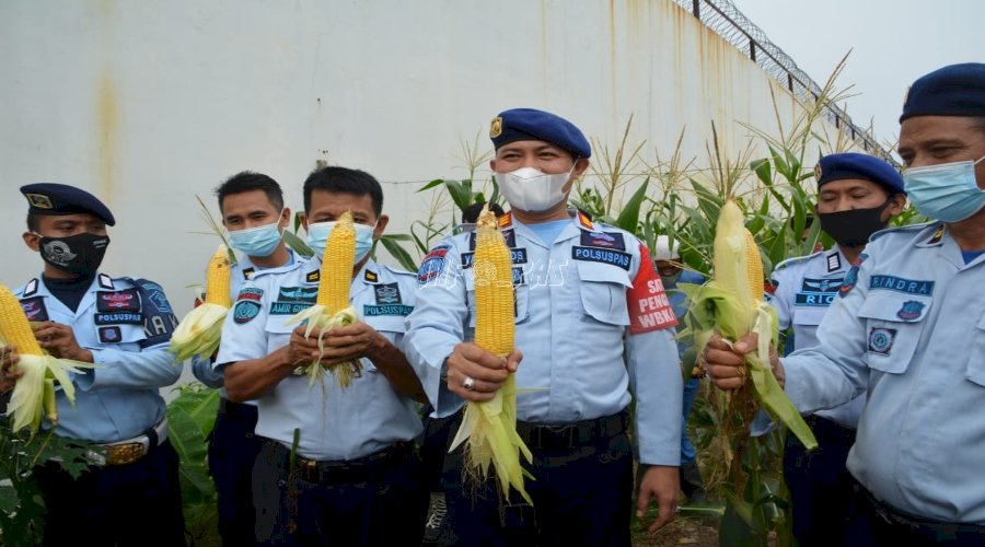 Rutan Batam Panen 3 Ton Jagung