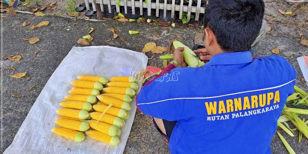 Usai Lebaran, WBP Rutan Palangka Raya Panen Hasil Kebun