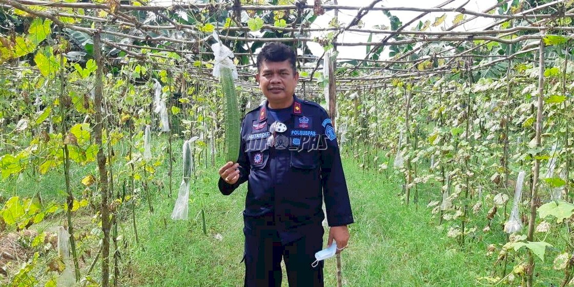 Kreatif, WBP Lapas Tanjungpandan Sulap Lahan Kosong Jadi Area Perkebunan