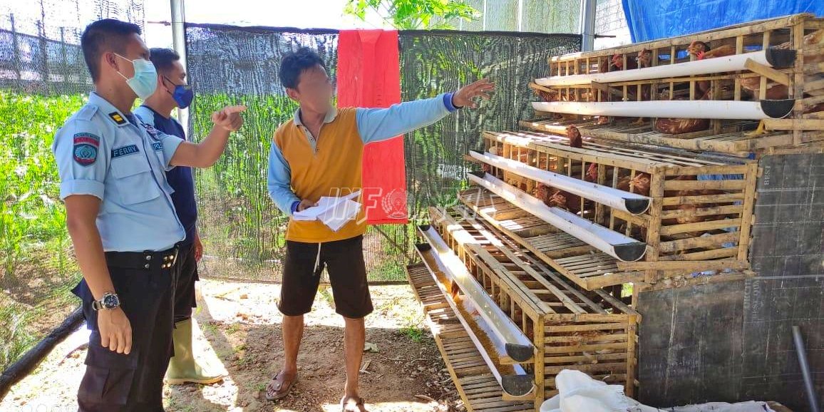 Panen Perdana Telur Ayam WBP Lapas Narkotika Karang Intan