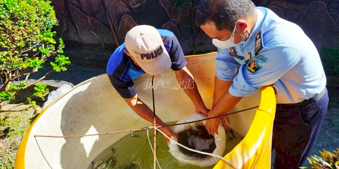 Berikan Pembinaan Berkesinambungan, Lapas Sampit Kembali Tabur Benih Ikan Lele