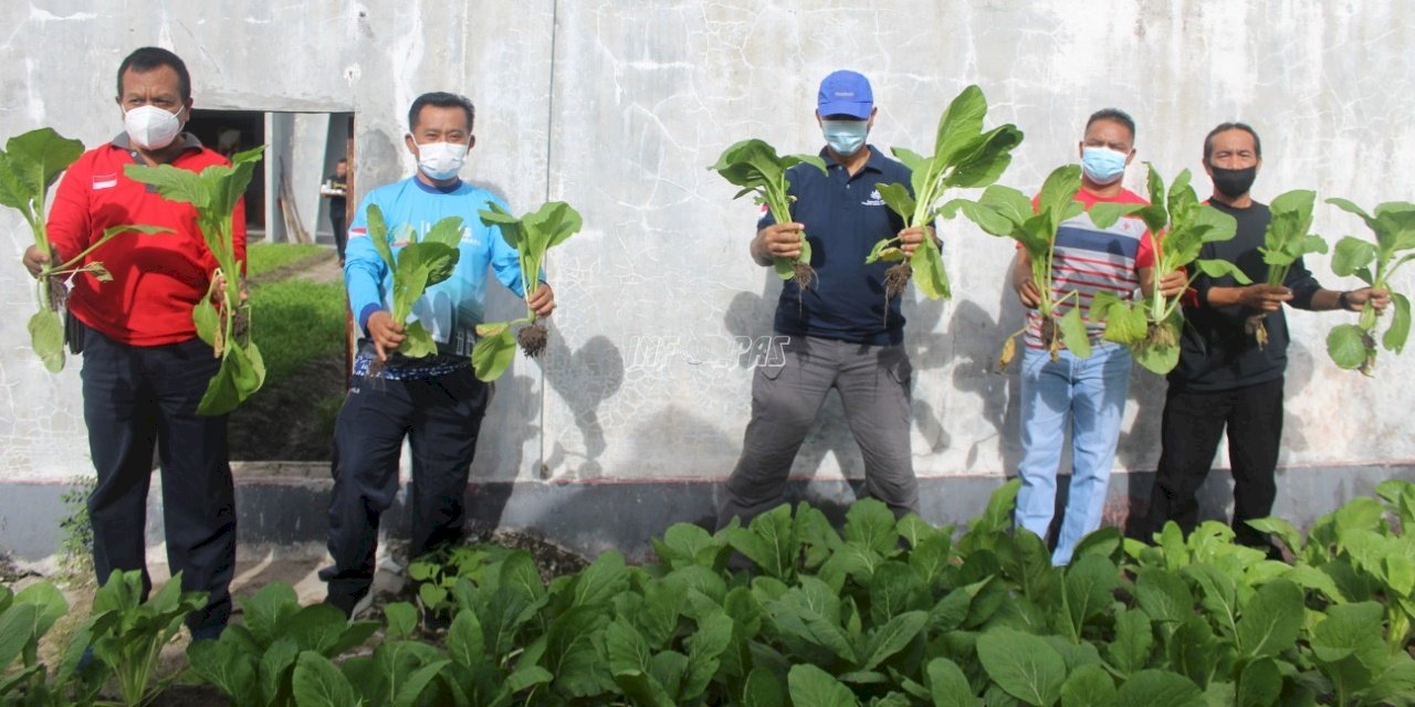 Lapas Palangka Raya Sukses Panen Jagung & Sawi