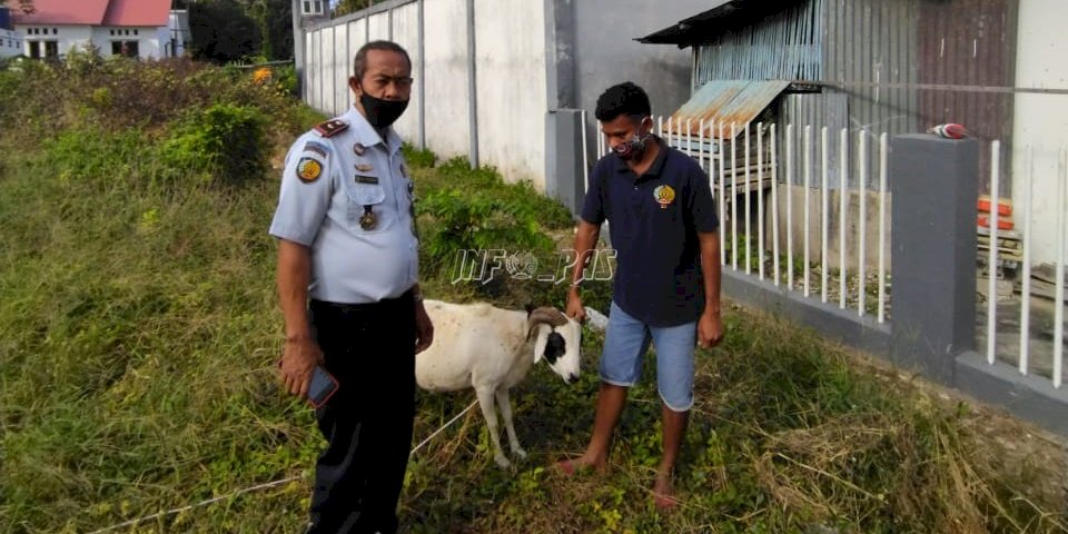 Jelang Iduladha, Lapas Siapkan Hewan Kurban