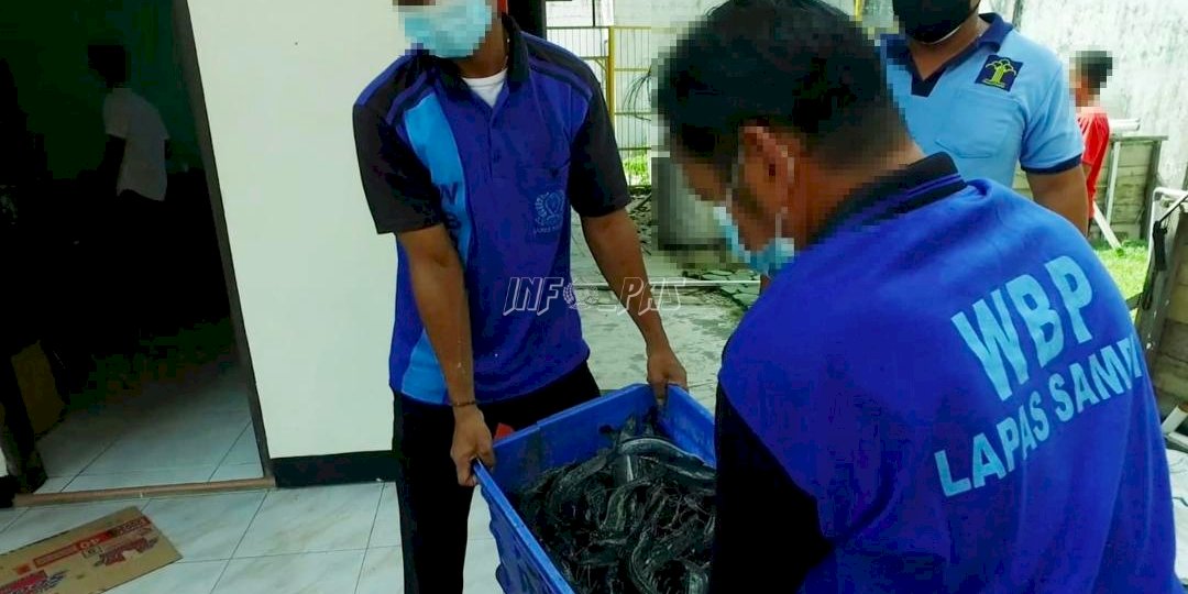 Ikan Lele Hasil Budidaya WBP Lapas Sampit Diminati Konsumen