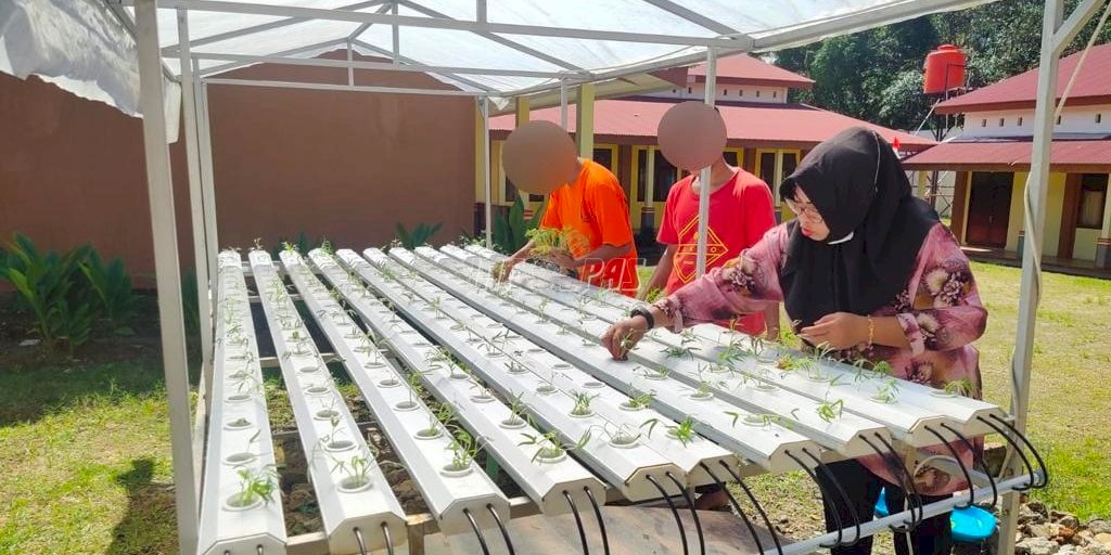 Tanamkan Pendidikan Karakter Anak LPKA Ambon Lewat Budidaya Hidroponik