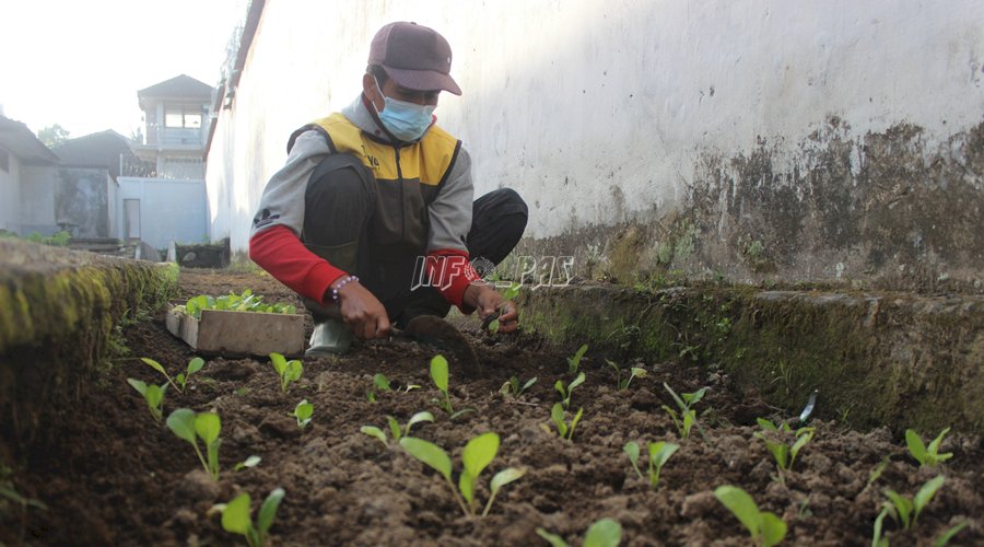 Rutan Bangli Ubah Lahan Kosong Jadi Area Perkebunan