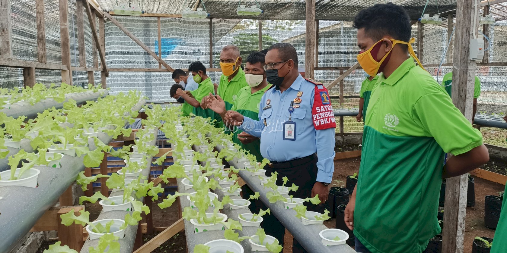 Kalapas Pantau Perkembangan Green House Lapas Saumlaki