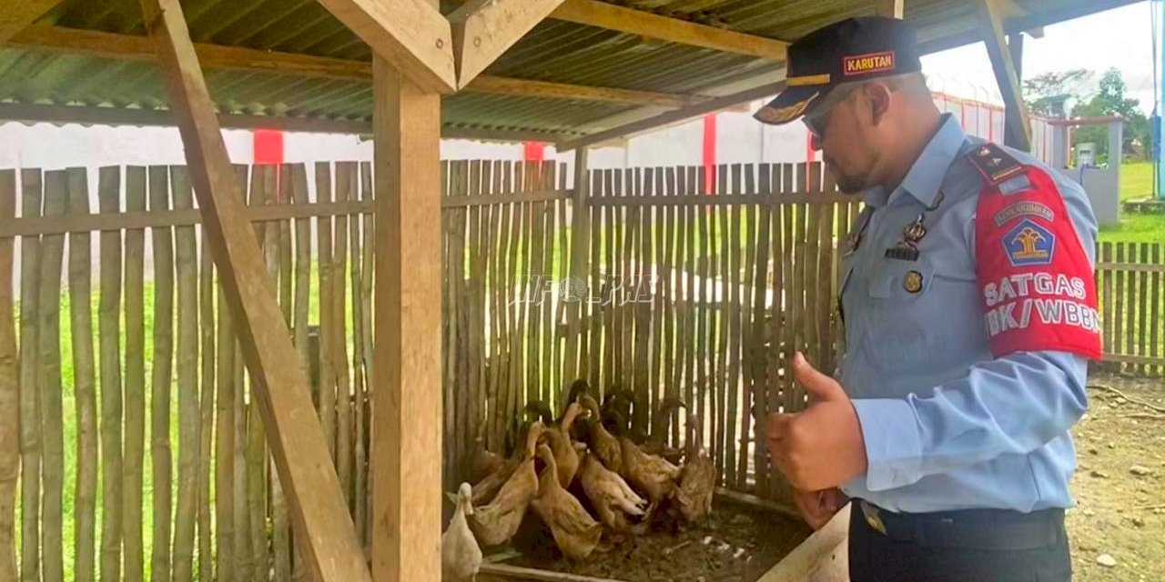 Karutan Masohi Tinjau Panen Telur Bebek Hasil Ternak WBP