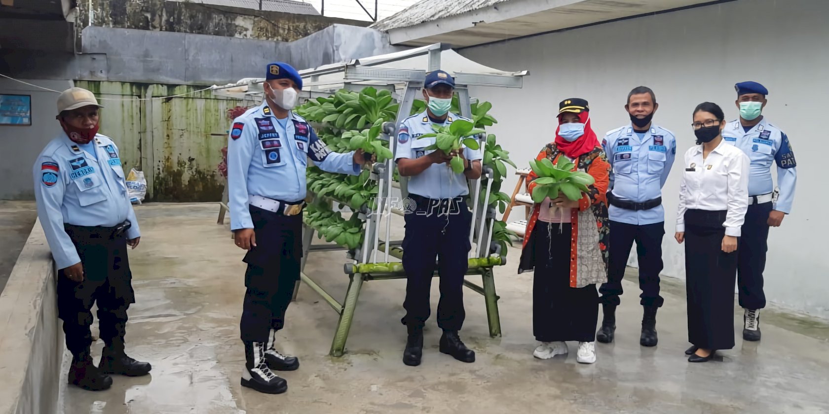 Rutan & Lapas di Maluku Panen Sayur & Kacang Tanah