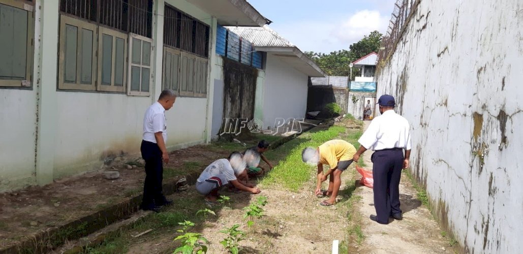 WBP Rutan Ambon Manfaatkan Lahan Kosong Tanami Kangkung