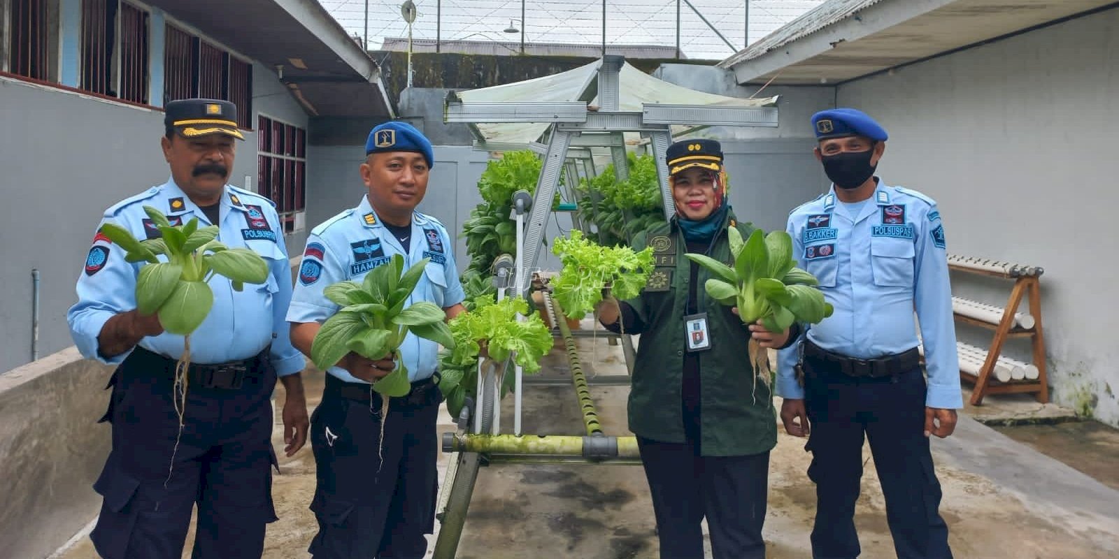 Berdayakan WBP, Rutan Ambon Panen Sayuran Hidroponik