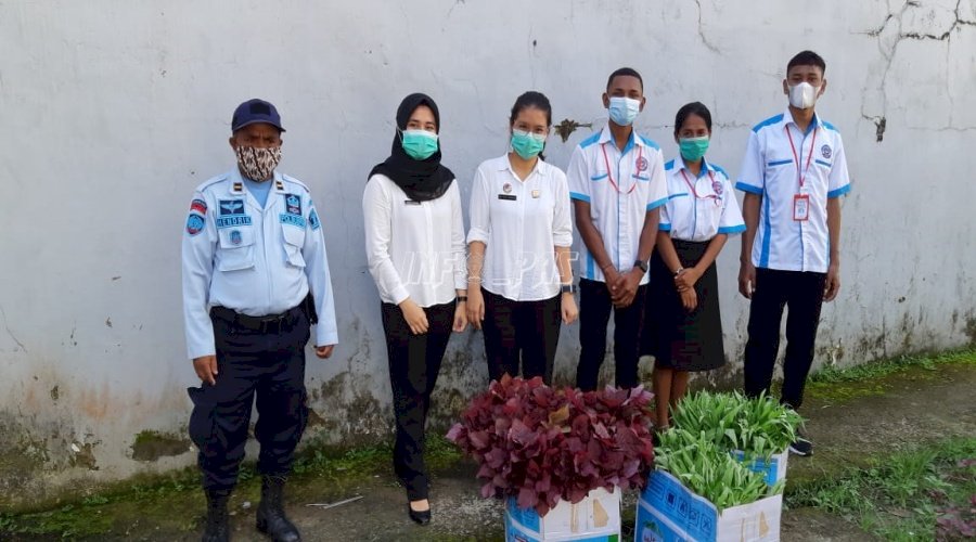 Rutan Ambon Panen Sayur Kangkung & Bayam Merah