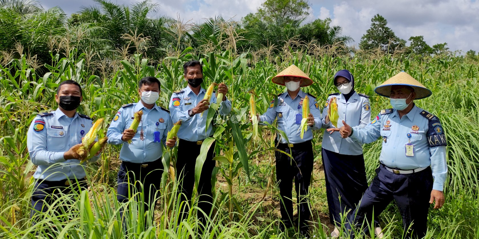 Rutan Rengat Panen 300 Kg Jagung