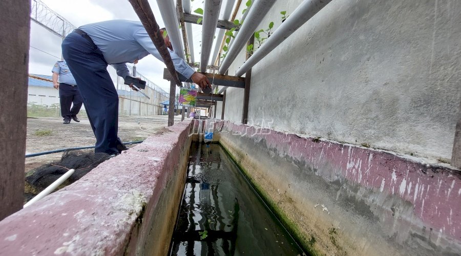 Lapas Palangka Raya Ubah Selokan Jadi Kolam Ikan