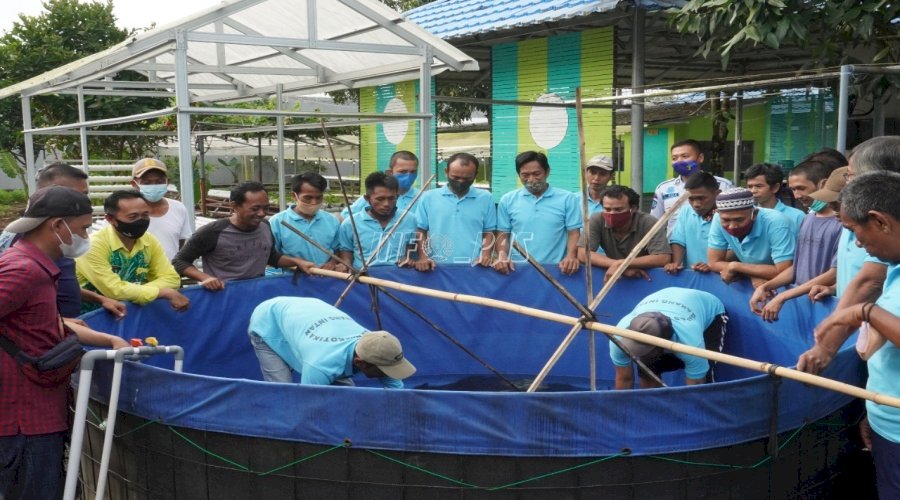 LPN Karang Intan Sukses Budidayakan Ikan Koi di SAE Lapas
