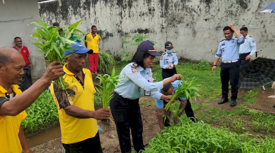 Awal Tahun 2022, WBP & Anak Panen Sayuran & Ayam Pedaging