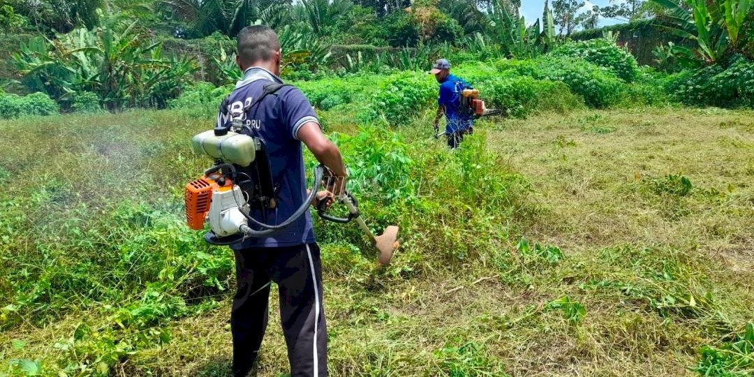 Tingkatkan Produktivitas WBP, Lapas di Maluku Buka Lahan Pertanian