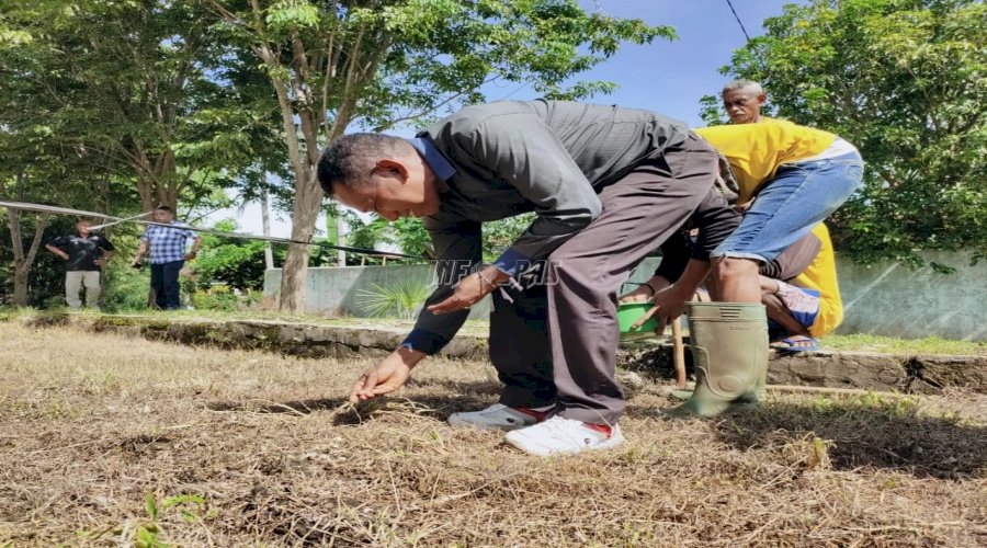 Tanam Kacang Hijau, Lapas Kupang Terus Kembangkan Perkebunan