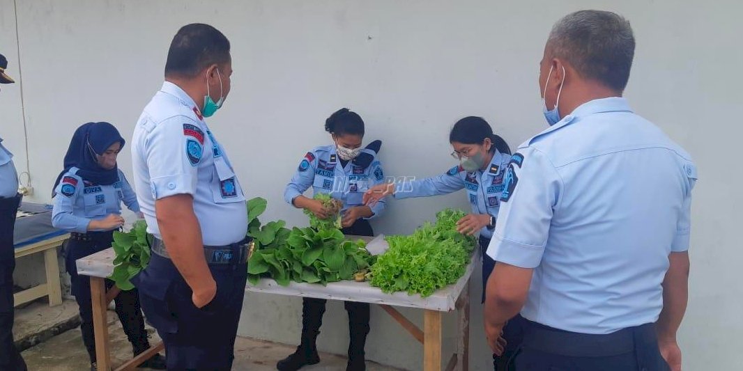 Rutan Ambon Bakal Pasarkan Sayur Hasil Panen pada Layanan Titipan Barang