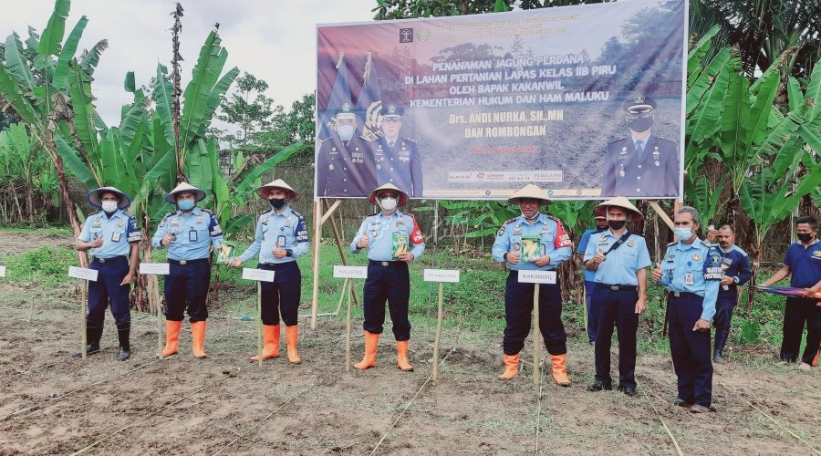 Tanam Jagung Perdana di Lapas Piru, Plt. Kadivpas Maluku Beri Apresiasi