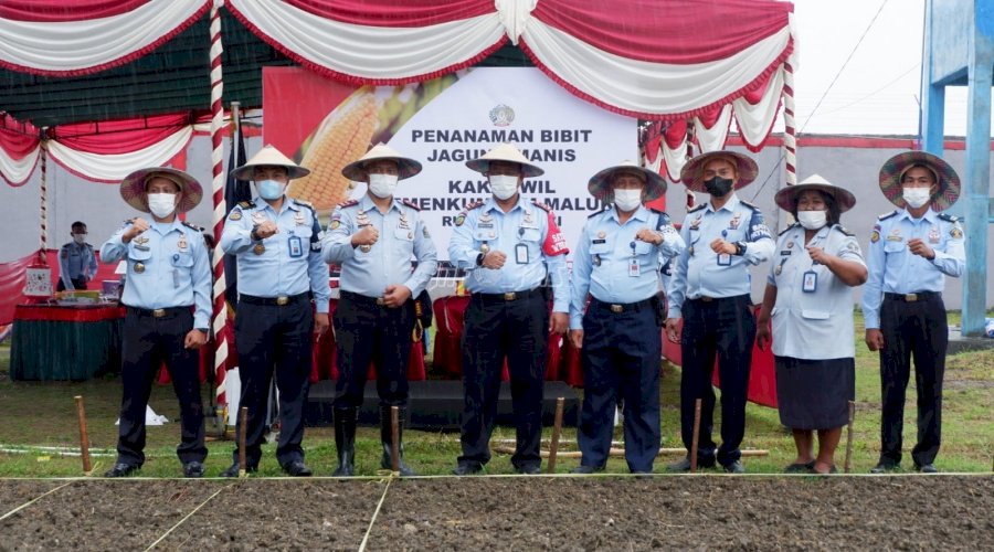 Ladang Rutan & Lapas Ditanami Bibit Jagung Manis