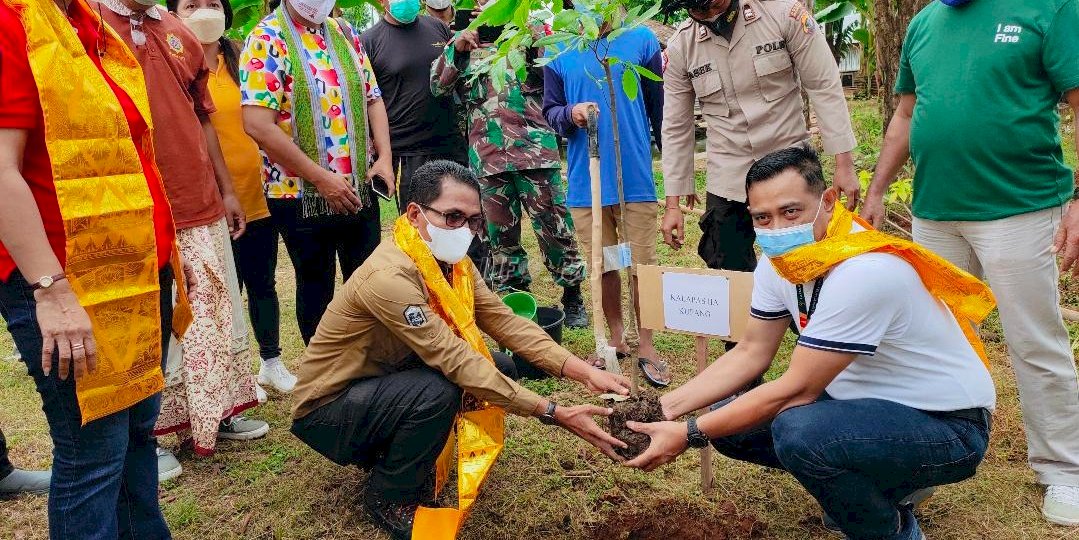 Lapas Kupang Jadi Lokasi Penanaman 1.000 Anakan Pohon