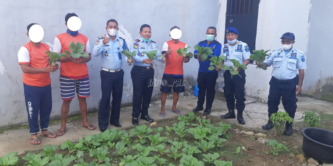 Rutan Ambon Panen Sayur Hasil Budidaya WBP