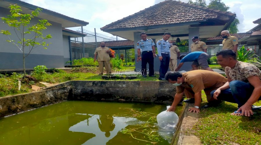 Sukses Panen, Lapas Tanjungpandan Kembali Tebar 1.500 Benih Lele