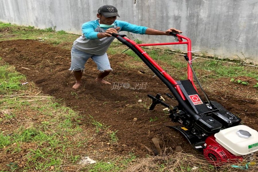 LPN Karang Intan Maksimalkan Garapan Lahan Perkebunan Baru