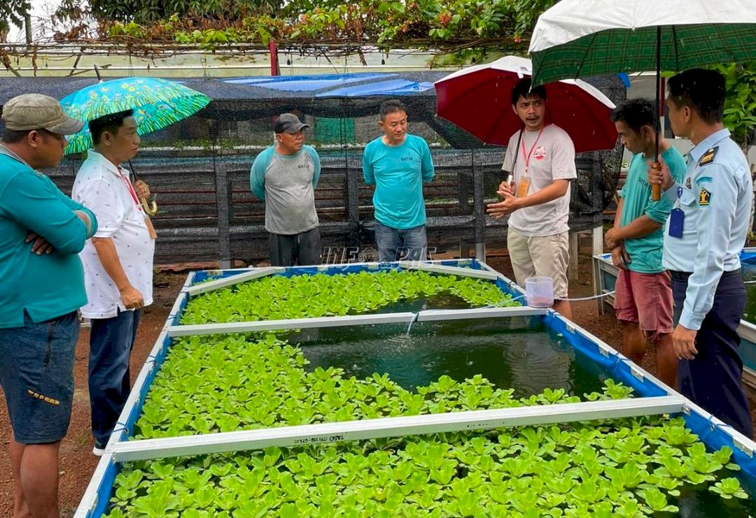 Pembinaan WBP, Lapas Narkotika Karang Intan Bakal Datangkan Indukan Koi dari Jepang