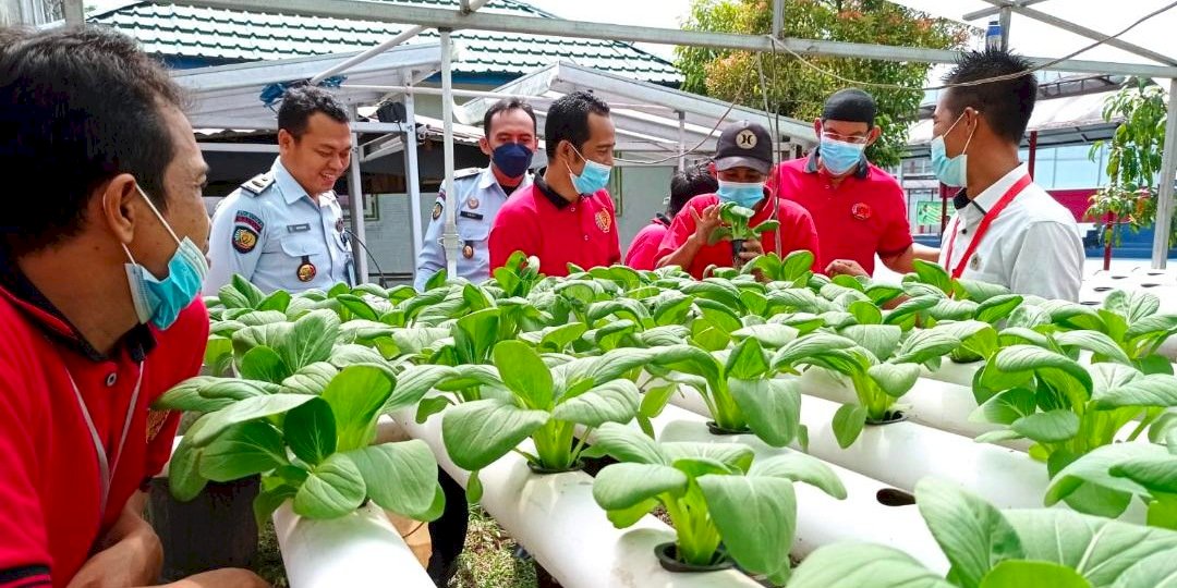 WBP Lapas Narkotika Samarinda Dibekali Pelatihan Agribisnis Hidroponik & Budidaya Lebah Kelulut