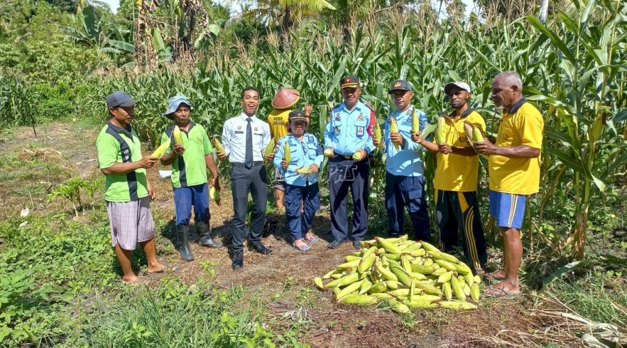 Lapas Wahai Sukses Laksanakan Panen Jagung