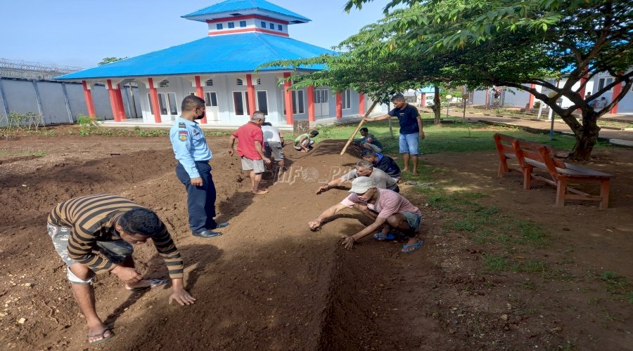 WBP Lapas Saumlaki Garap Lahan Tidur Untuk Kegiatan Pertanian