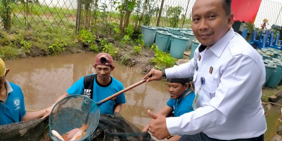 Kelompok Budidaya Ikan WBP Rutan Sambas Panen Ikan Nila