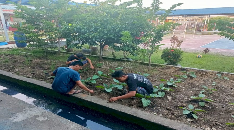 Rutan & Lapas Manfaatkan Lahan Kosong Tanami Sayuran Hingga Panen