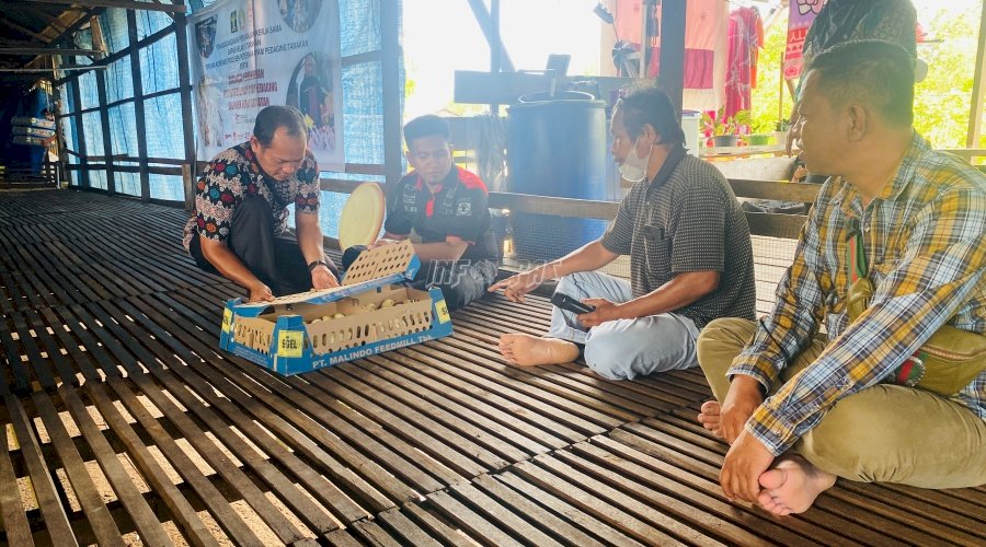 Bimbing Klien Pemasyarakatan, Bapas Tarakan Berikan Pelatihan Budidaya Ayam Pedaging