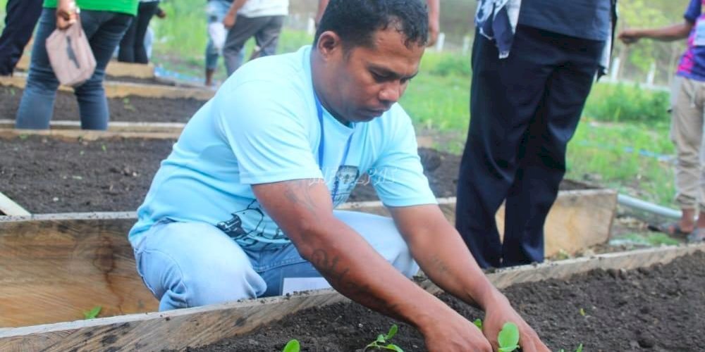 Bapas Saumlaki Gandeng Dinas Pertanian Gelar Pelatihan Kemandirian bagi Klien Pemasyarakatan